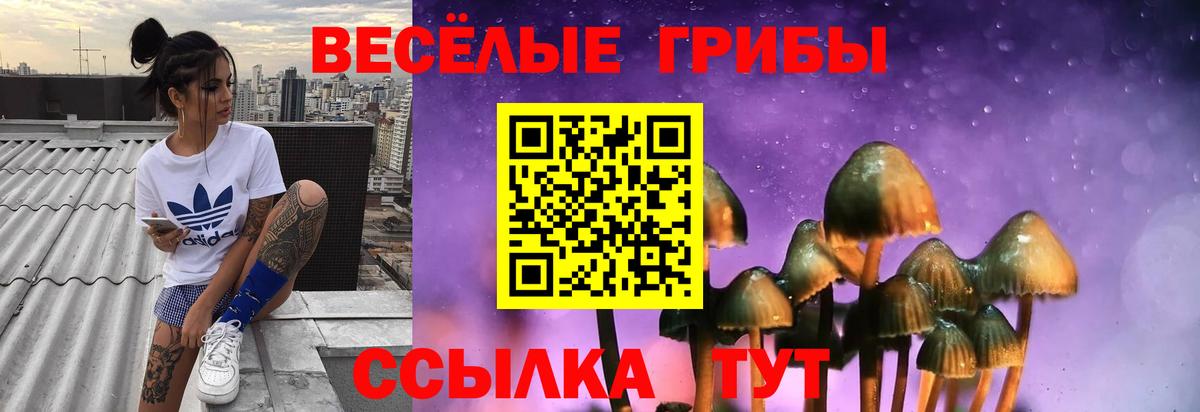 Новоалександровск  Псилоцибиновые грибы Cubensis  Вход с VPN  Галлюциногенные грибы Psilocybe 